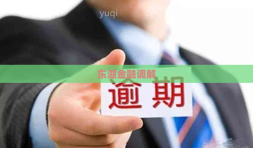 东湖金融调解