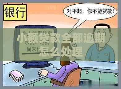 小额贷款全部逾期怎么处理
