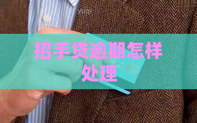 招手贷逾期怎样处理