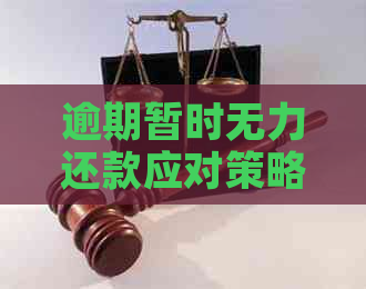 逾期暂时无力还款应对策略