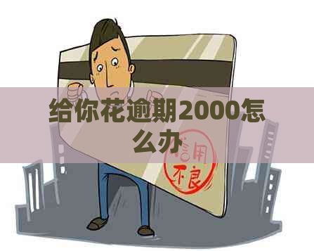给你花逾期2000怎么办