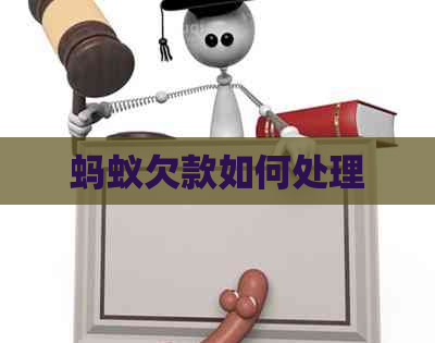 蚂蚁欠款如何处理