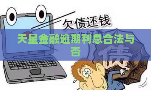 天星金融逾期利息合法与否