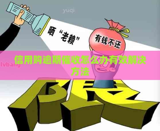 信用购逾期怎么办有效解决方法