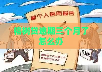 榕树贷逾期三个月了怎么办