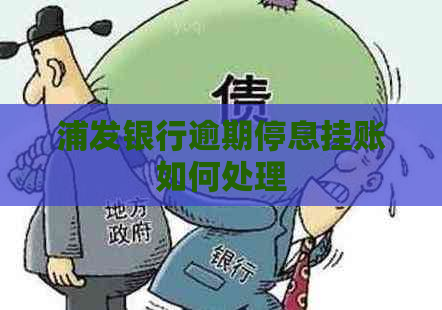 浦发银行逾期停息挂账如何处理