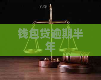 钱包贷逾期半年