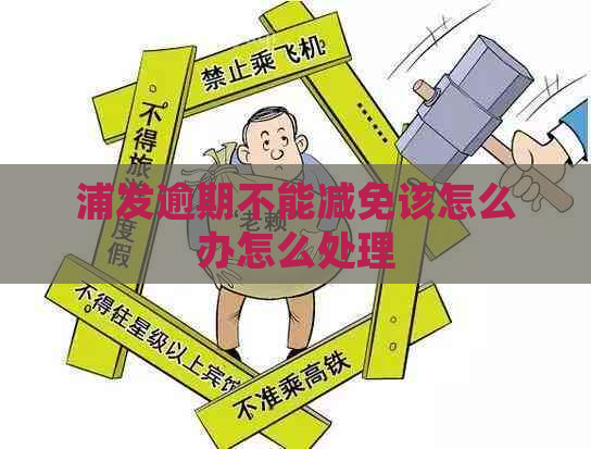 浦发逾期不能减免该怎么办怎么处理