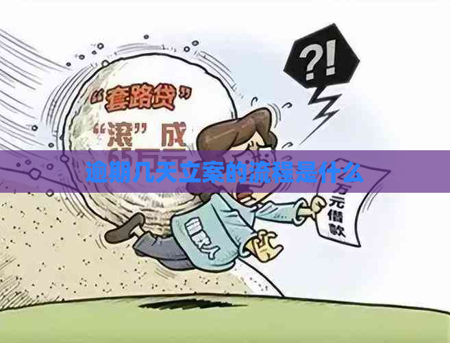 逾期几天立案的流程是什么