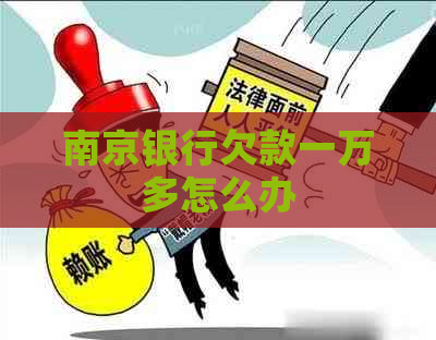 南京银行欠款一万多怎么办