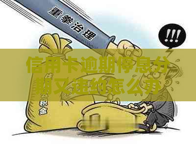 信用卡逾期停息分期又违约怎么办