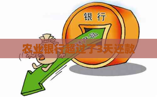 农业银行超过了3天还款