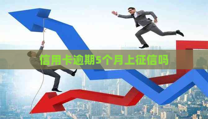 信用卡逾期5个月上吗