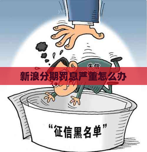 新浪分期罚息严重怎么办