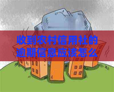 收到农村信用社的逾期信息应该怎么处理