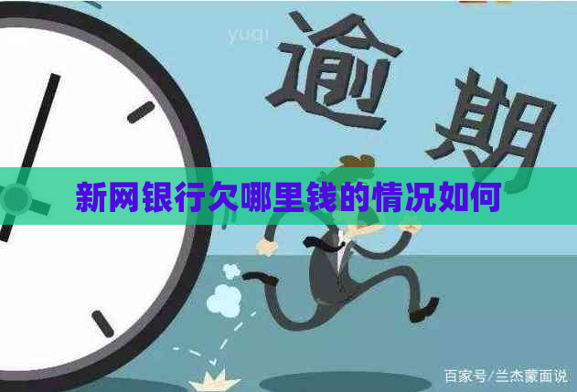 新网银行欠哪里钱的情况如何