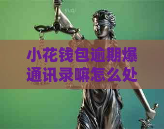 小花钱包逾期爆通讯录嘛怎么处理