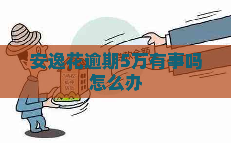 安逸花逾期5万有事吗怎么办