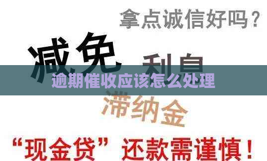 逾期应该怎么处理