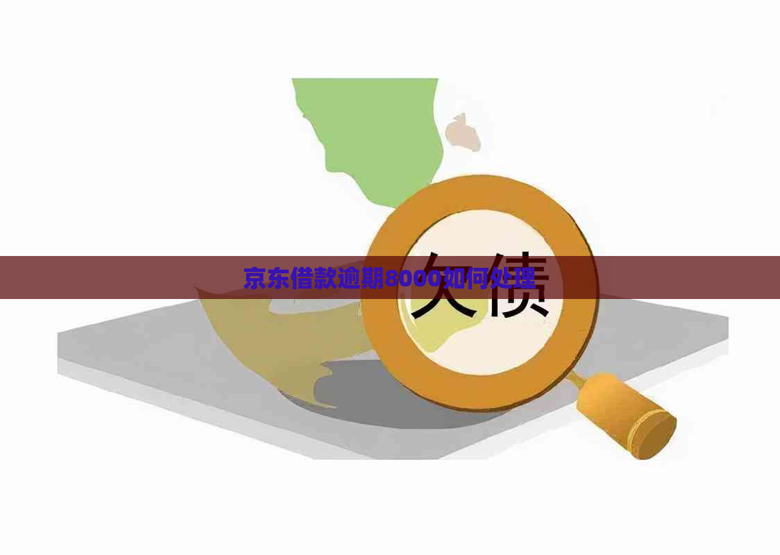 京东借款逾期8000如何处理