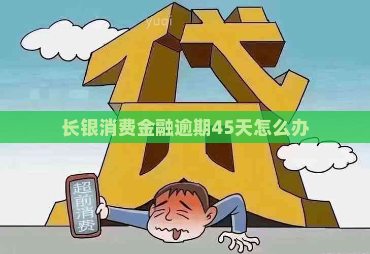 长银消费金融逾期45天怎么办