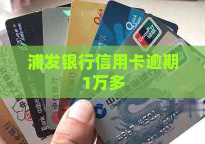 浦发银行信用卡逾期1万多