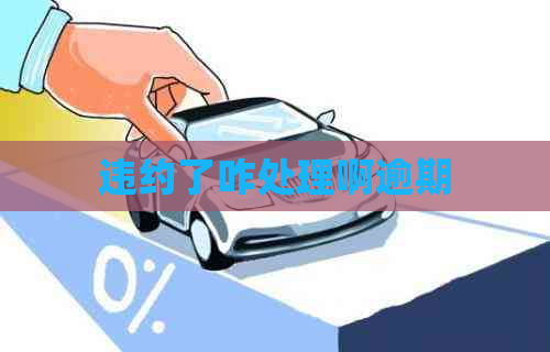 违约了咋处理啊逾期