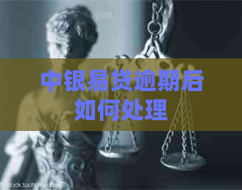 中银易贷逾期后如何处理
