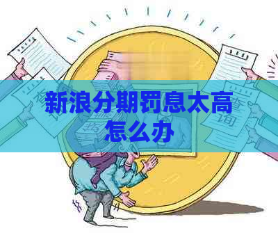 新浪分期罚息太高怎么办