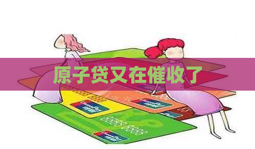 原子贷又在了