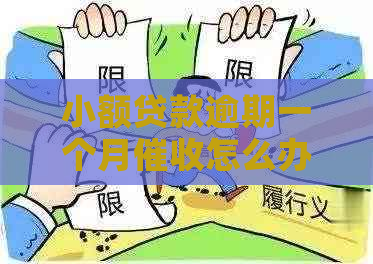 小额贷款逾期一个月怎么办