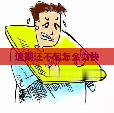 逾期还不起怎么办快