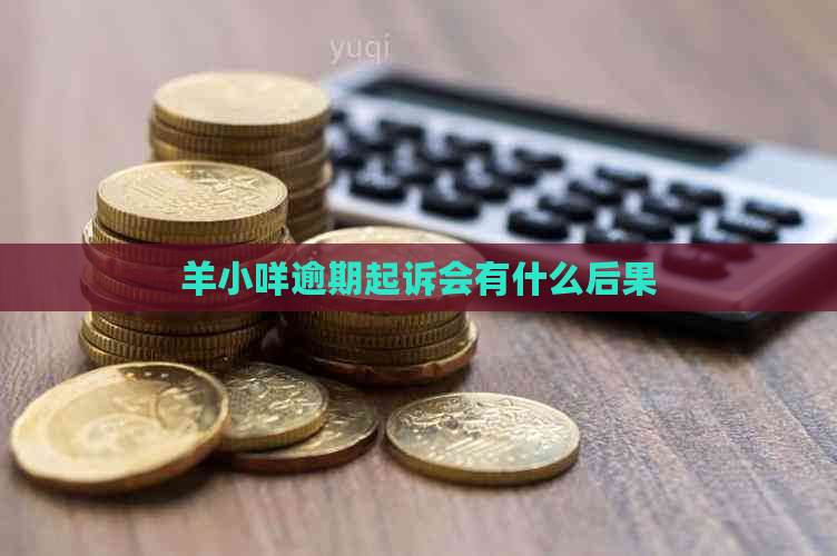 羊小咩逾期起诉会有什么后果