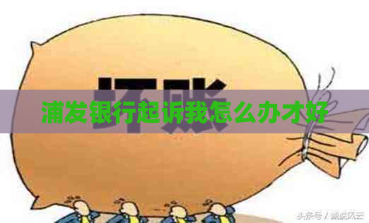 浦发银行起诉我怎么办才好