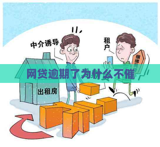 网贷逾期了为什么不催