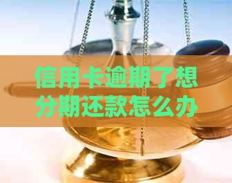 信用卡逾期了想分期还款怎么办