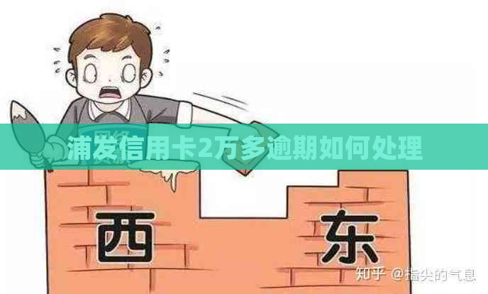 浦发信用卡2万多逾期如何处理