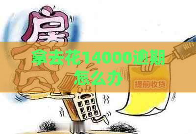 拿去花14000逾期怎么办