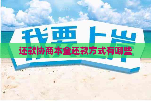 还款协商本金还款方式有哪些