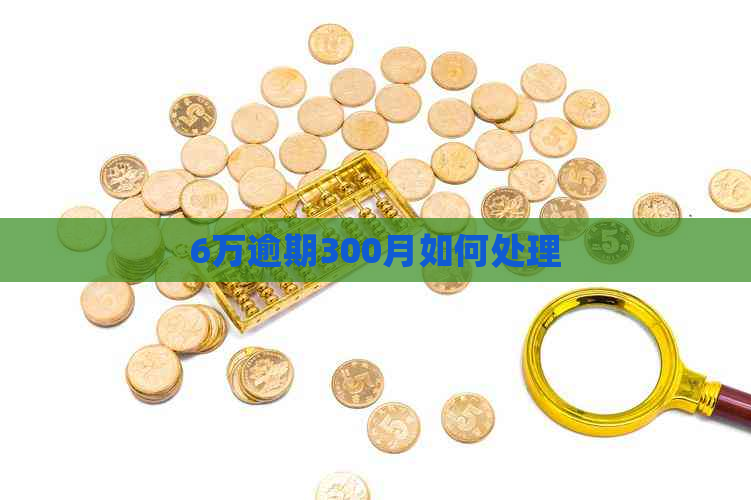 6万逾期300月如何处理