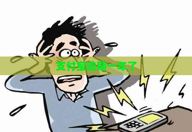 支付宝逾期一年了