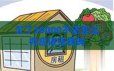 欠了30000不还怎么办应该还钱吗