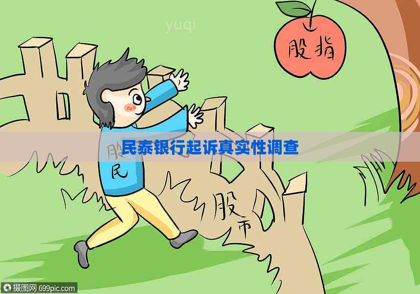 民泰银行起诉真实性调查