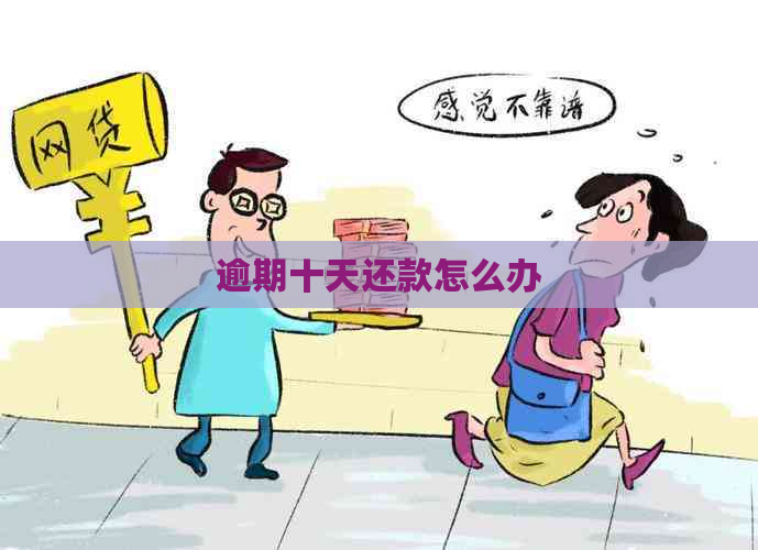 逾期十天还款怎么办
