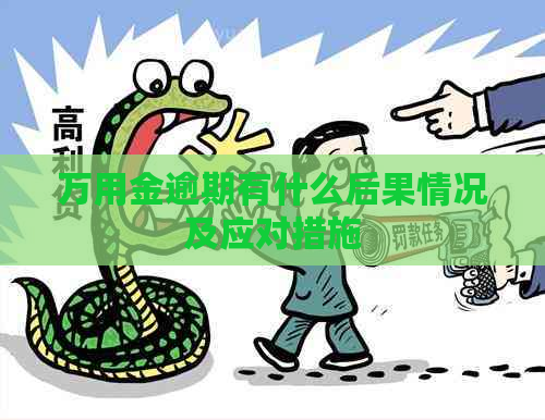万用金逾期有什么后果情况及应对措施