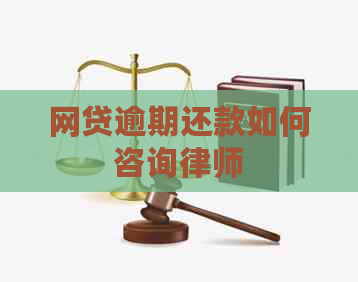 网贷逾期还款如何咨询律师