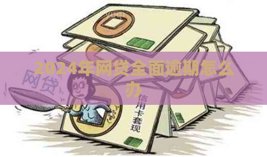 2024年网贷全面逾期怎么办