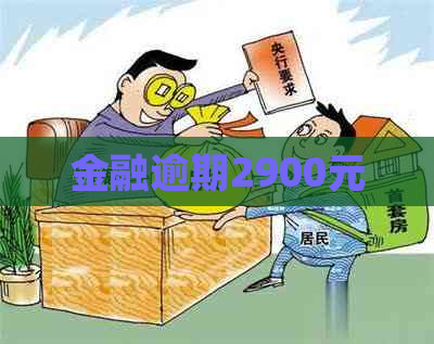 金融逾期2900元