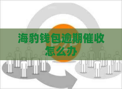海豹钱包逾期怎么办
