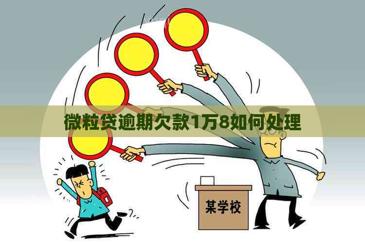 微粒贷逾期欠款1万8如何处理